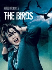 The Birds (1963)