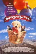 Napoleon (1995)