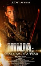 Ninja: Shadow of a Tear (2013)