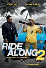 Ride Along 2 (2016)