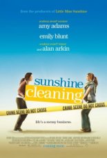 Sunshine Cleaning (2008)