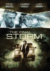 The Final Storm (2010)