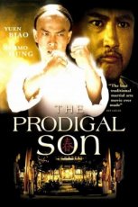 The Prodigal Son (1982)